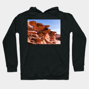 Plants And Birds And Rocks And Things Hoodie